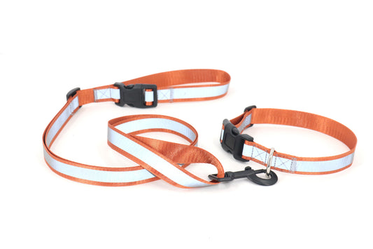 Reflective Dog Collar & Leash Set