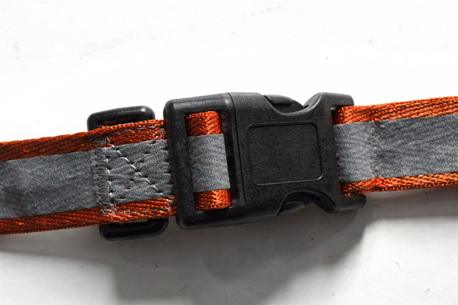 Close-up of reflective dog collar with buckle in burnt orange