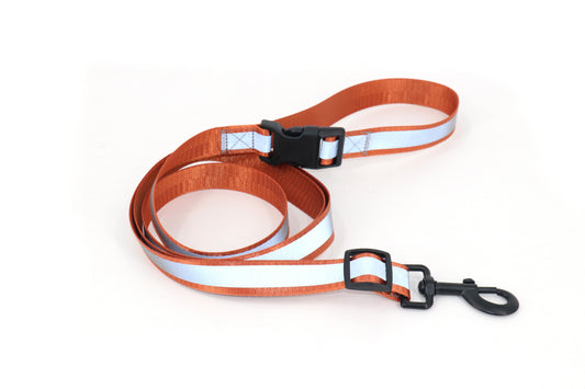 Reflective Dog Leash