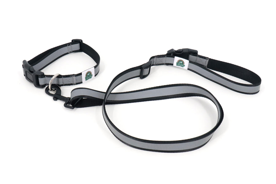 Reflective Dog Collar & Leash Set