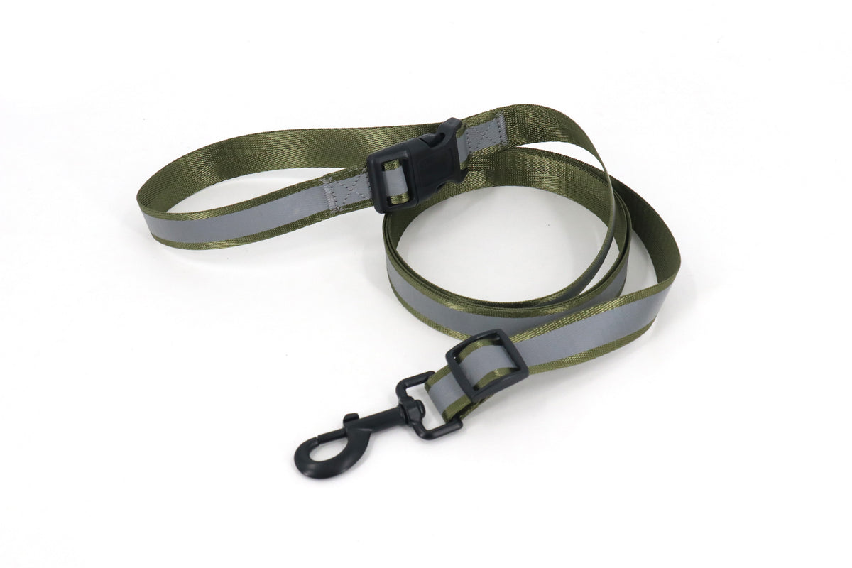 Roam&Rover Reflective Dog Leash — Racing Green