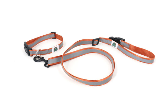 Reflective Dog Collar & Leash Set