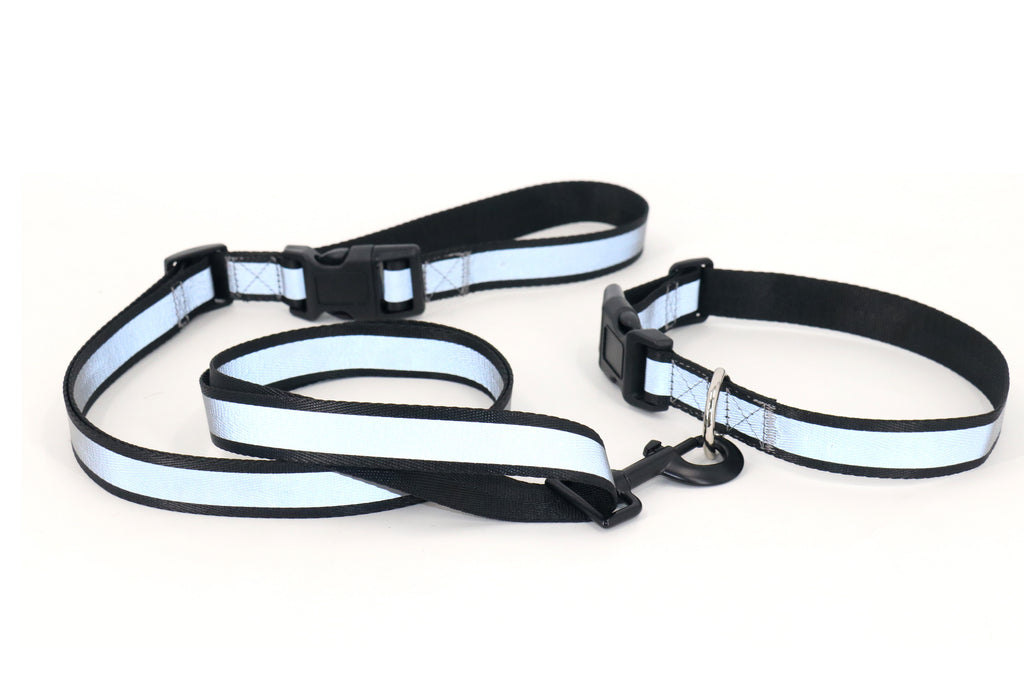 Collar + Leash