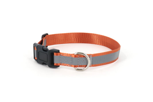 Roam&Rover Reflective Dog Collar — Burnt Orange