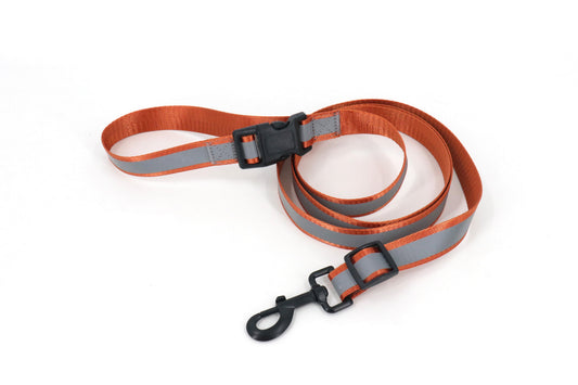 Roam&Rover Reflective Dog Leash — Burnt Orange