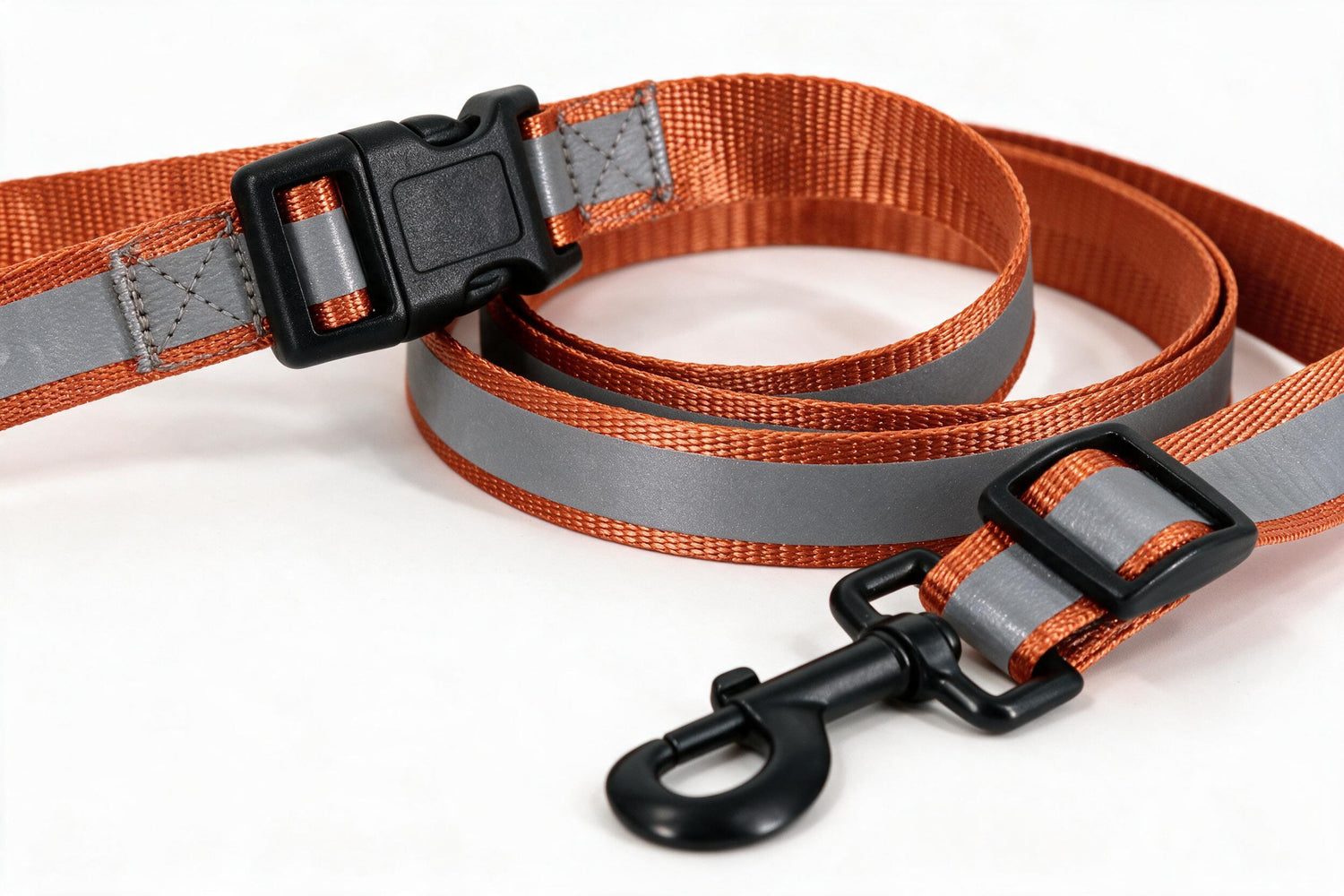 Matching reflective collar and leash set coiled on a white background